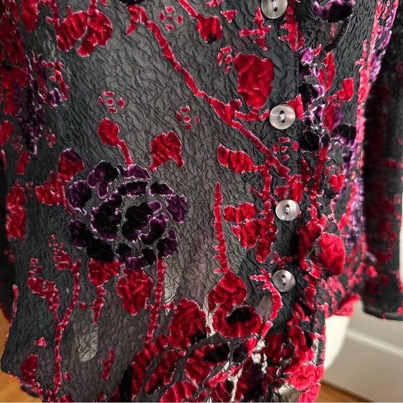 COLDWATER CREEK Sheer Velvet Burnout Ruffle Trim Floral Blouse Whimsigoth Small - Picture 10 of 14